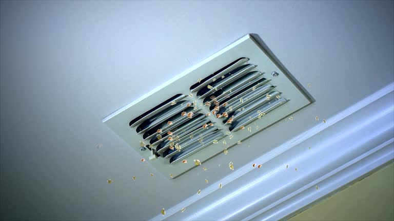 Best Home Air Vent Cleaning  in Yuba City, CA